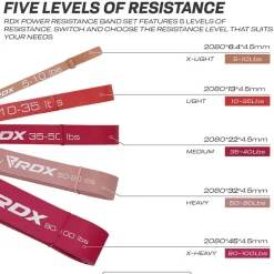 RDX MP 5-in-1 Pull Up Assist & Body Stretching Bands for Resistance Training