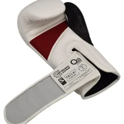 RDX 1R Boxing Gloves & Pads
