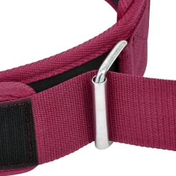 RDX RX5 Weightlifting Belt
