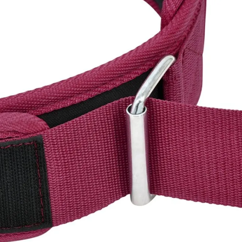 RDX RX5 Weightlifting Belt