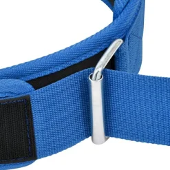 RDX RX5 Weightlifting Belt