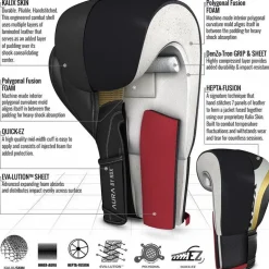 RDX T17 Aura Boxing Gloves